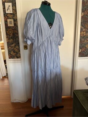 Frame Denim Light Blue Maxi Dress